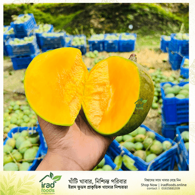সাতক্ষীরার ফ্রেশ গোবিন্দভোগ আম ১০ কেজি ডেলিভারি চার্জ ফ্রী!_img_0